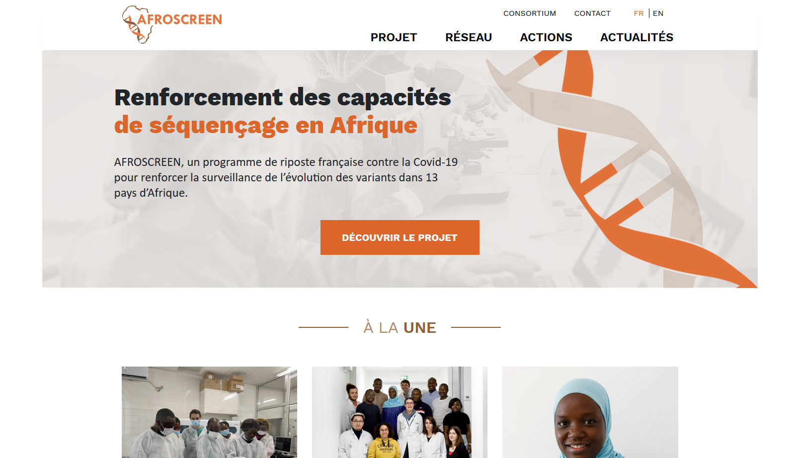 Création Site Internet AFROSCREEN