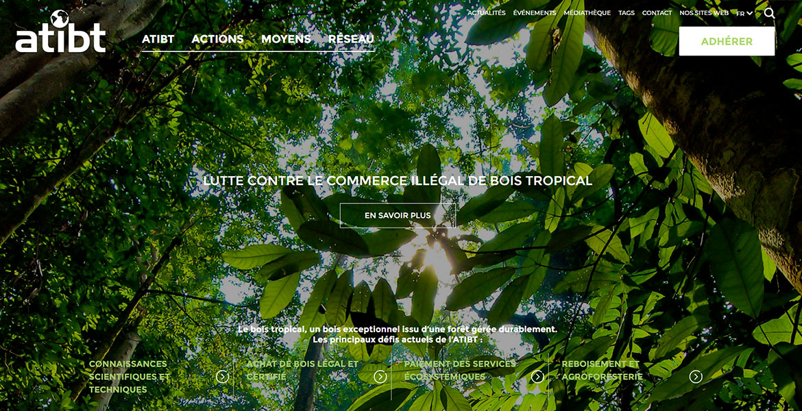 Création du site de l'ATIBT, Association Technique Internationale des Bois Tropicaux