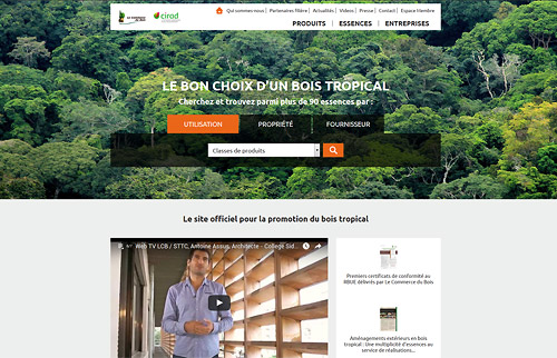 Création Site Web LE BON CHOIX D'UN BOIS TROPICAL