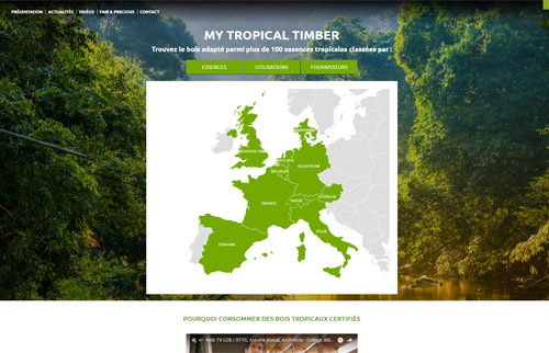 Création Site Web MY TROPICAL TIMBER
