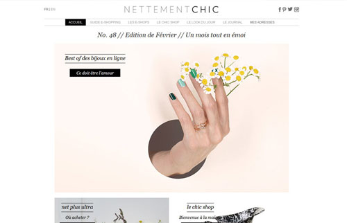 Création Site Web NETTEMENT CHIC