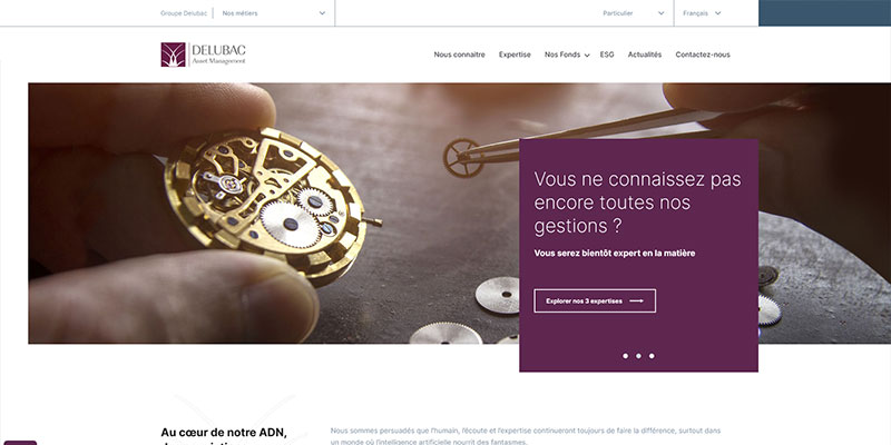 Conception ergonomique et graphique (UX / UI) Site Internet DELUBAC AM
